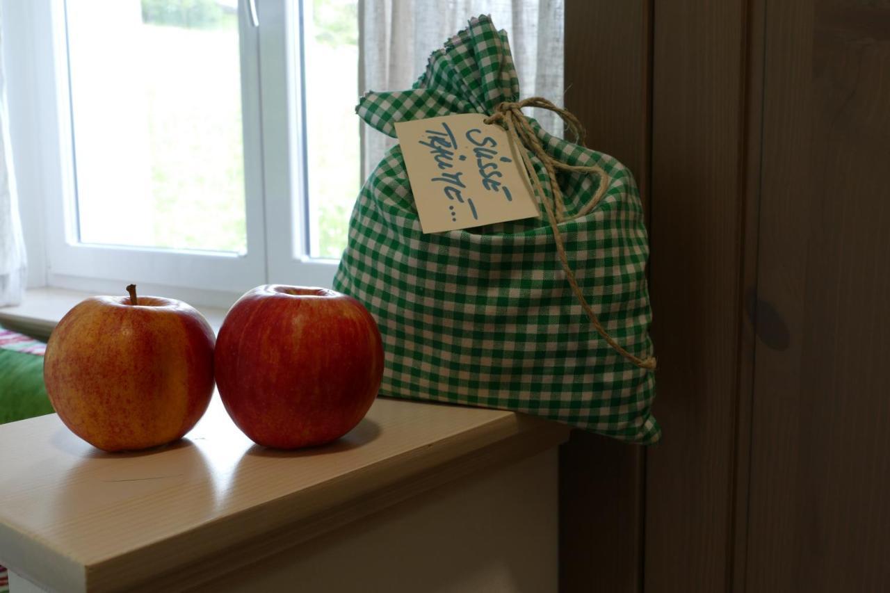 Pension Geissler-Reicher Oberwoelz Stadt エクステリア 写真